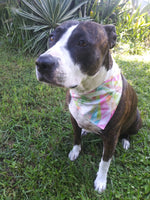 Load image into Gallery viewer, Summer Trips Bandanna
