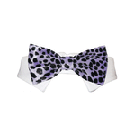 Load image into Gallery viewer, Roberto Bow Tie - Purple
